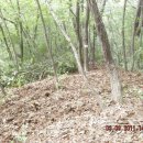 고지농장 이미지