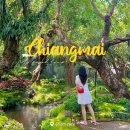 아임셀라 | 치앙마이 아바타 카페, 촘 카페(Chom cafe) 치앙마이 사진맛집은 여기!