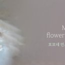 묘묘네 케이크스튜디오