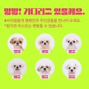 중사지농장 국민일보