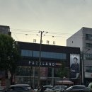 W22. 혼주예복 혼주정장 셔츠부터 구두까지 풀세트로 구매 후기