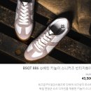 슈베린