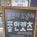 폴인캣츠 이미지