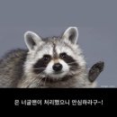 올바른운동연구소 네이버블로그