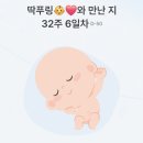 위너필 | 임신 32주차, 아기 2.4KG 우량아 (임산부 필수템 추천)