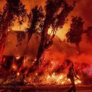 캘리포니아 산불(California wildfires) 이미지