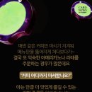 아메리카노 이미지