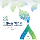 그린뉴딜