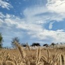 세종공원 이미지