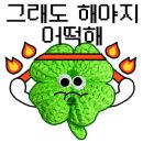 뜨개생활