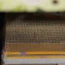 야옹아멍멍해봐 이미지