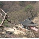 청량산비빔밥 이미지