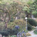 내곡동477 이미지