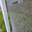 일죽IC타운 이미지