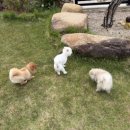 더개편한세상