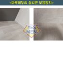 크린럭스 이미지