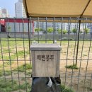 서울 근교 <b>강아지</b> 훈련소 강형욱 훈련소 보듬 오남<b>캠퍼스</b> 교육후기