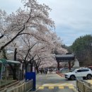 씨유진안마이산점 이미지