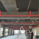 오렌다 핏 이미지