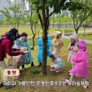 인천화전유치원 | 동탄호수공원 유아숲체험 재참여 내돈내산 후기