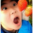 행복한농장 이미지