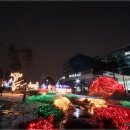 성남시청(시의회) 티스토리