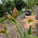 하연이네 이미지