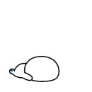 청초스포츠센터 이미지