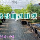용담농산물
