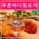 푸른바다회포차