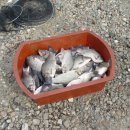 연정낚시터 이미지