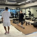 바이디짐 이미지