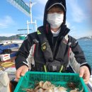 여수쭈꾸미 이미지