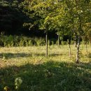 봉화여관 이미지