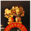 해운대캇트 Daum카페