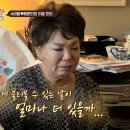 해피댕댕이 이미지