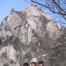 향아 Daum카페