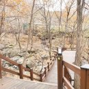 대운산자연휴양림(양산) 이미지