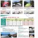 (주)신대광 | 승주cc 시세 및 정보 / 골프장 이용 혜택