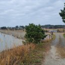 금배네 민박 이미지