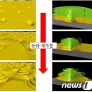 액정물질 승화현상 이용 &#39;3차원 나노구조&#39; 발견 이미지