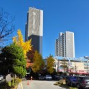 금호쌍용명성공인중개사사무소 | 상가 없는 재건축사업에 대한 소고(小考)