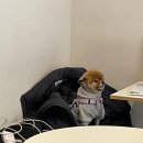 라공방 등촌점 이미지