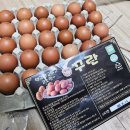 대광농장 | 친환경 구운란 / 농라에프 꾸란 맛있는 구운계란 추천