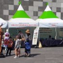 부산진구-10 이미지