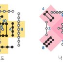(주)하도