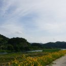 대티강변로 네이버블로그