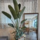 론데일2.0 | 유럽감성 가득한 곳 대구 성서 계명대카페 [ 론데일2.0 ]