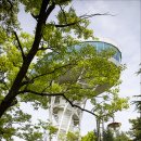 광주사직공원 이미지