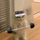 게임타임 이미지